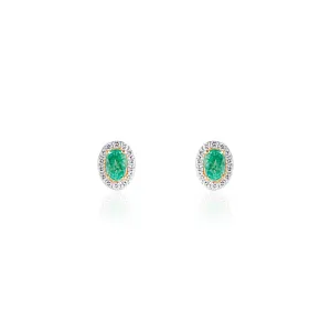 Susanna, Diamond Halo Emerald Studs